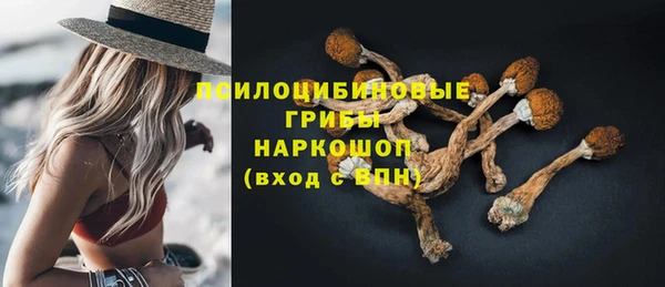 МДМА Богданович