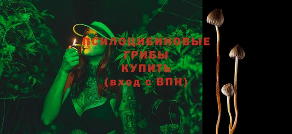 прущие крисы Белоозёрский